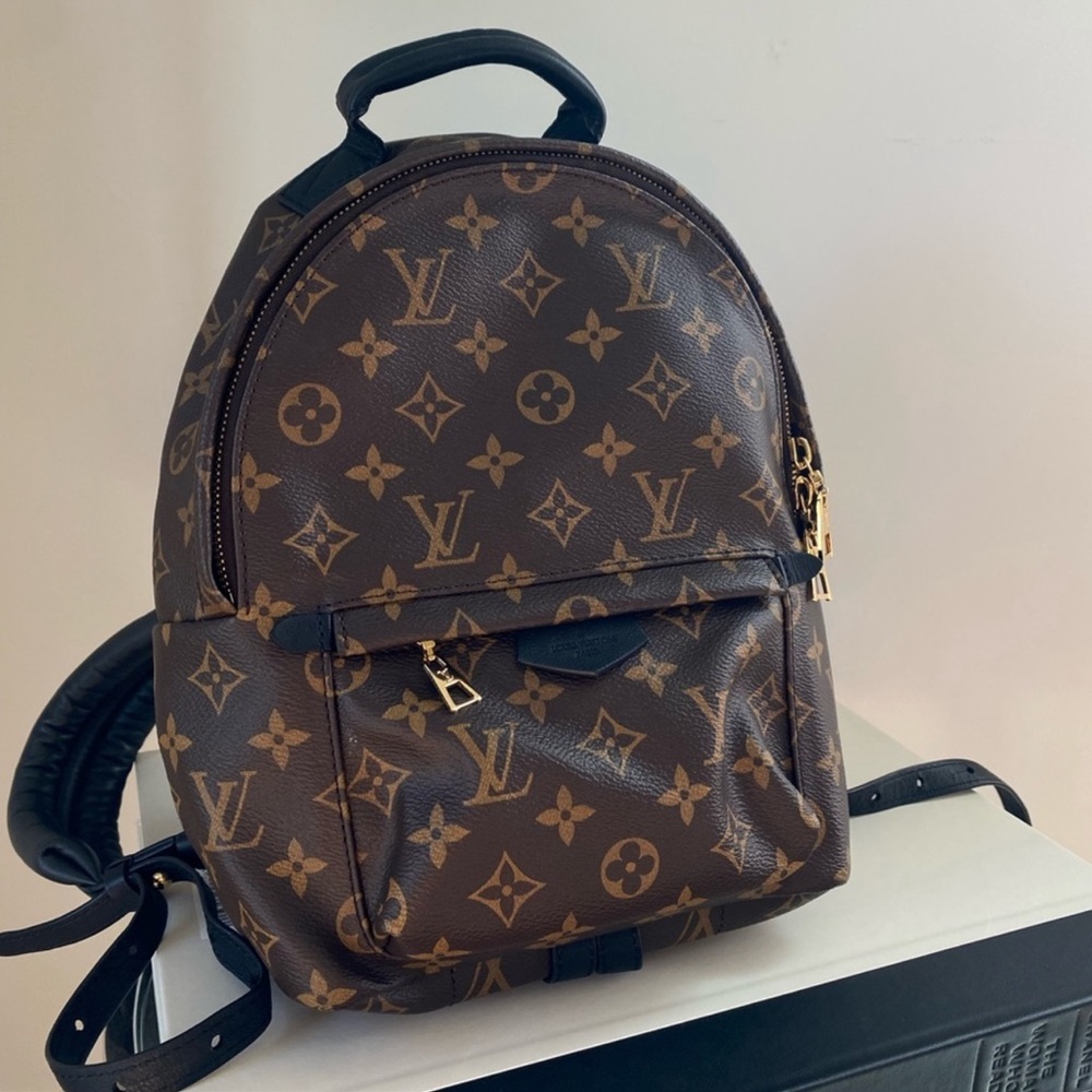 Louis Vuitton Palm Springs PM Backpack